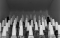 /album/muster-mit-unterbrechung/fotoclub-muster-3-jpg/